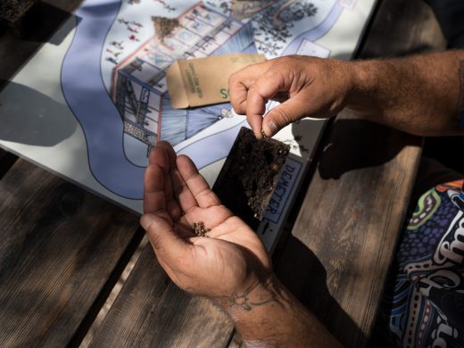 A person holds seeds in one hand and places them in soil with the other, over a wooden table with a map, seed packet, and tray of compost visible. Sunlight creates shadows across the scene.