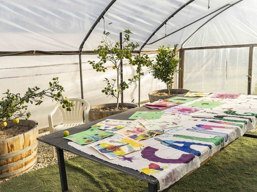 A long table in a glasshouse is covered with colourful children's paintings and drawings. Lemon trees in large pots line the side, and sunlight filters through the clear glasshouse walls and roof. A white plastic chair sits nearby.